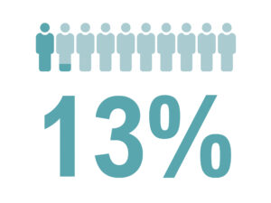 Graphic showing 13% highlighted in teal with a row of 15 person icons above, where 2 are darker, indicating a Health Equity statistic.
